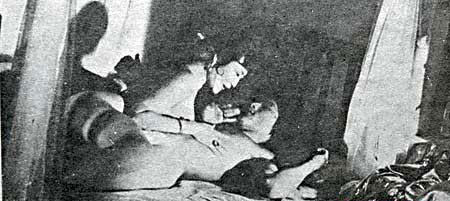 Jackie Chan Porn Jackie Chan Porn